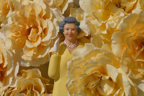 Queen Elizabeth Postcard, Rose Sunny Sky