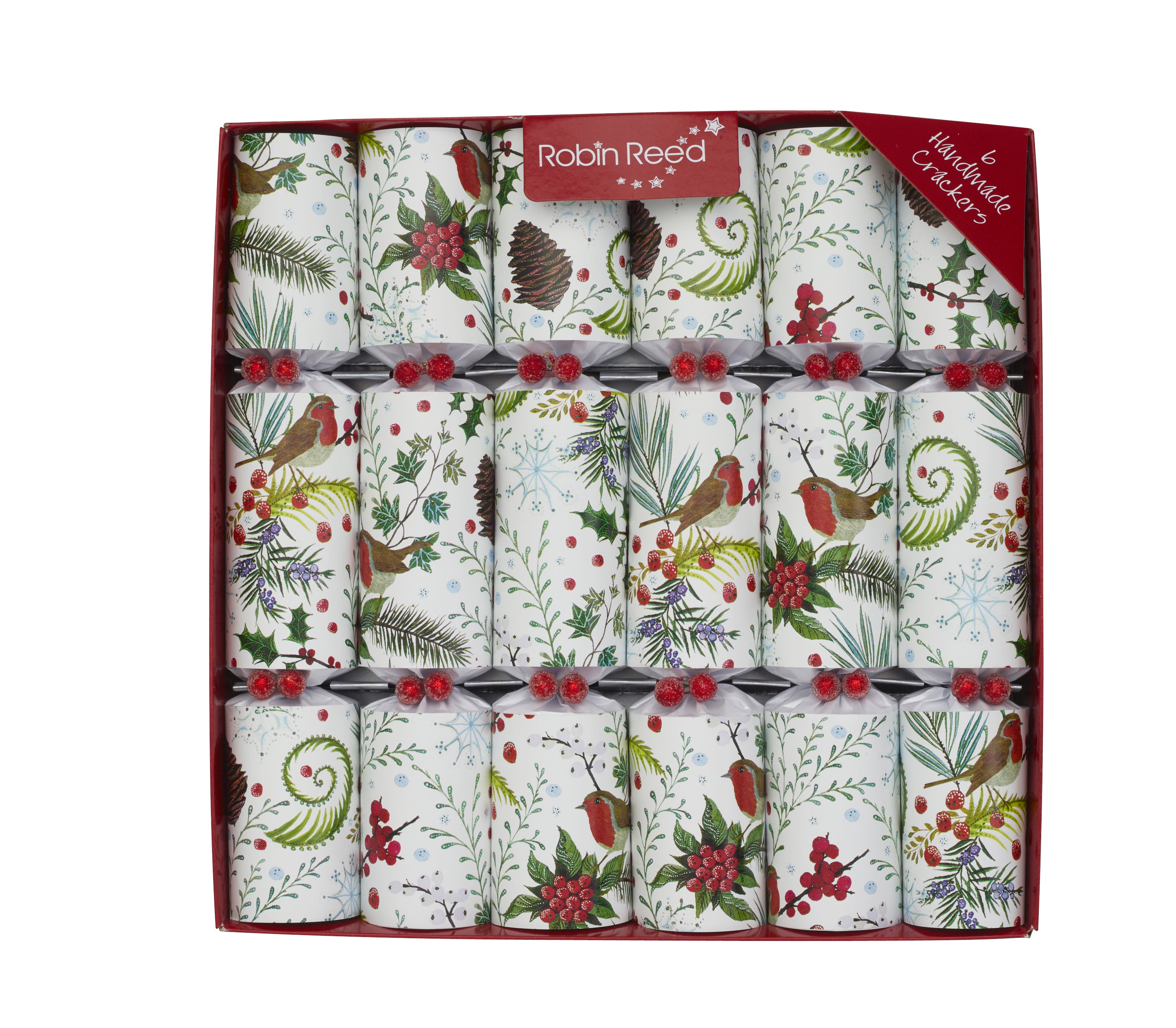 Robin Reed Christmas Crackers Festive Foliage, 6 x 30 cm
