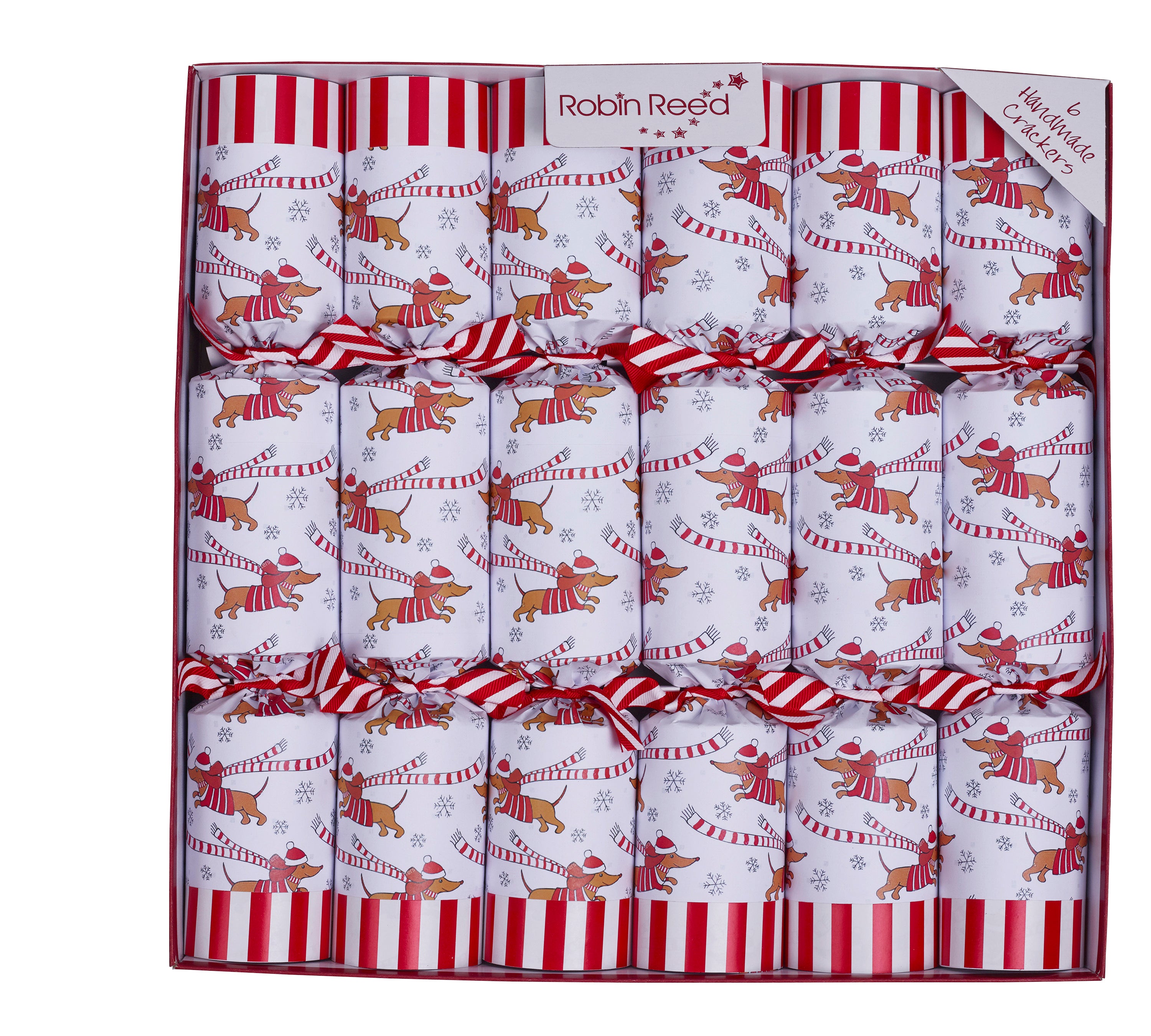 Robin Reed Christmas Crackers, 6, Racing Sausage Dog