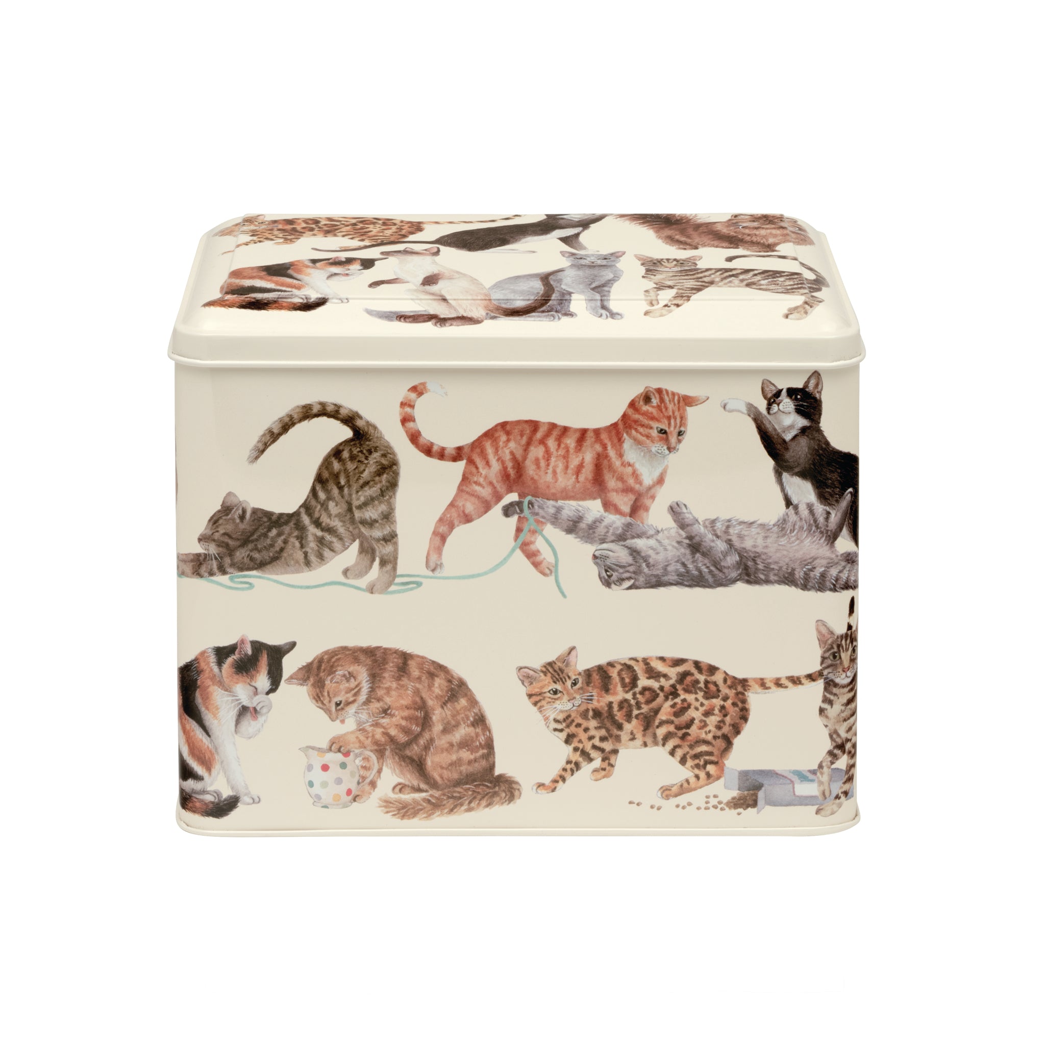 Extra Large Caddy, Emma Bridgewater, Cats