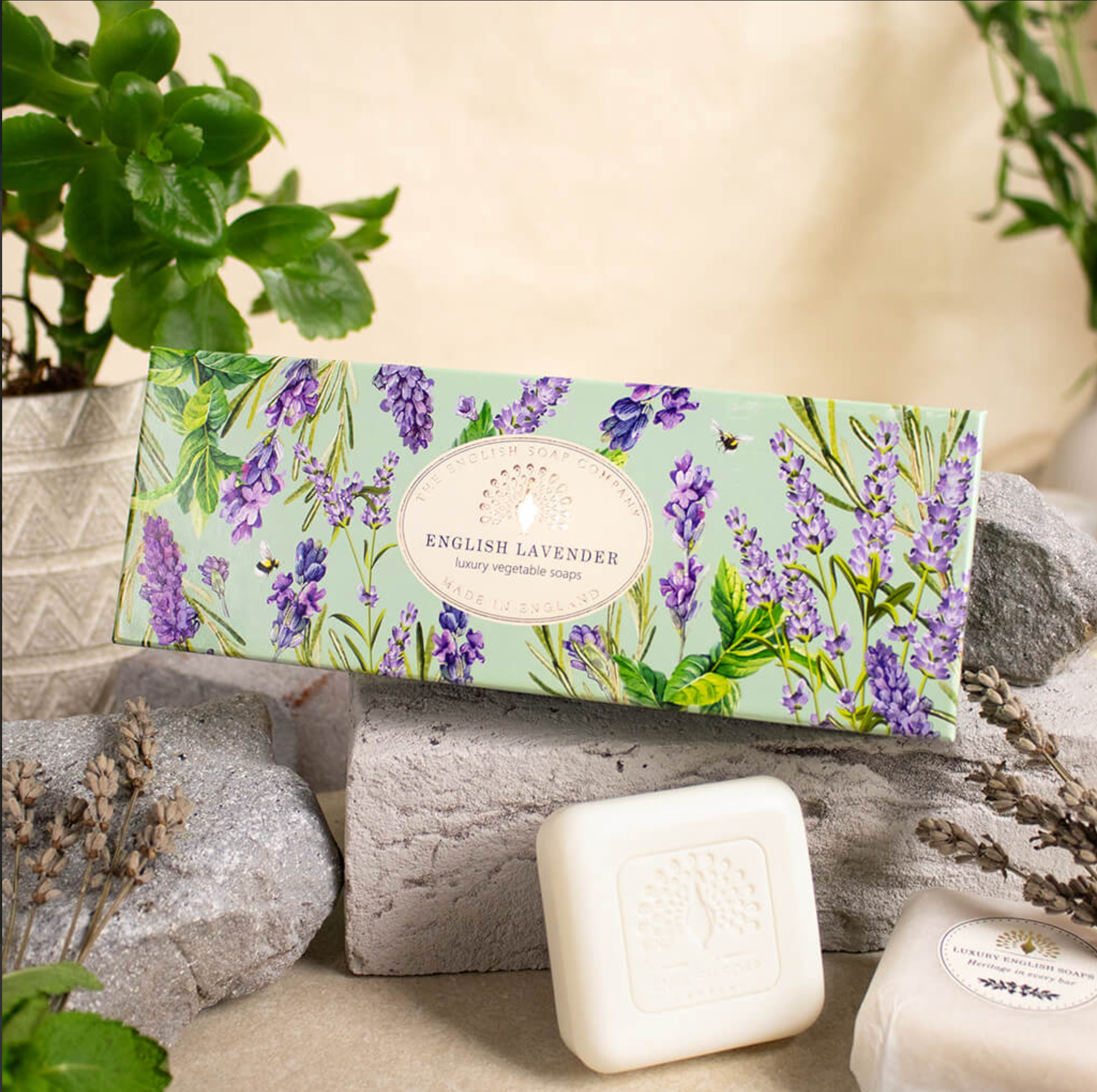 English Soap Company Gift Box, 3 English Lavender Seifen